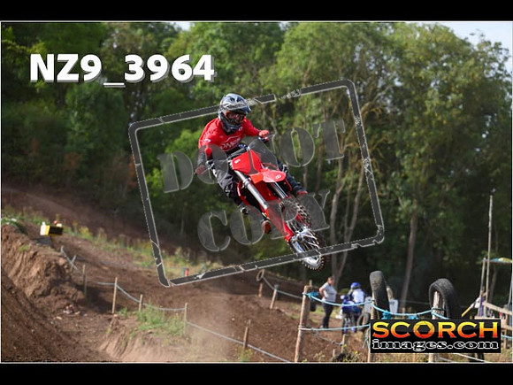 Experts-086