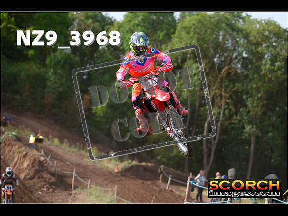 Experts-089