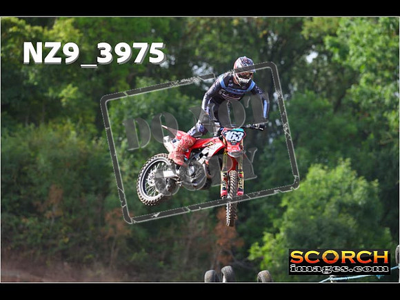 Experts-094