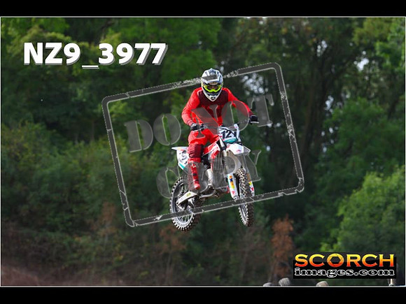 Experts-095