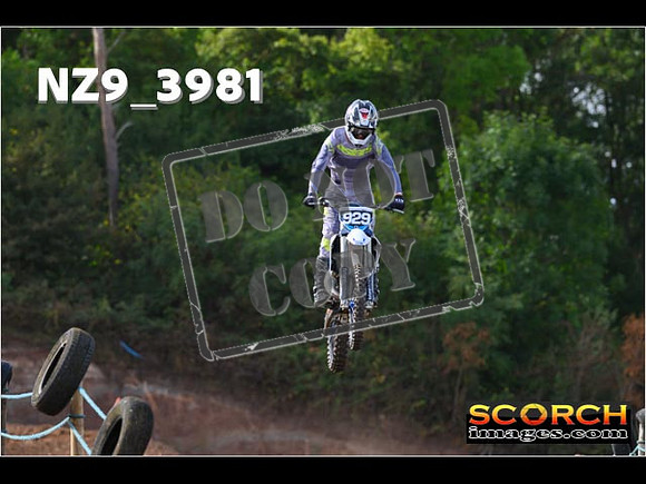 Experts-099