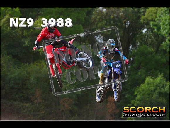 Experts-106