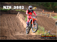 Experts-013