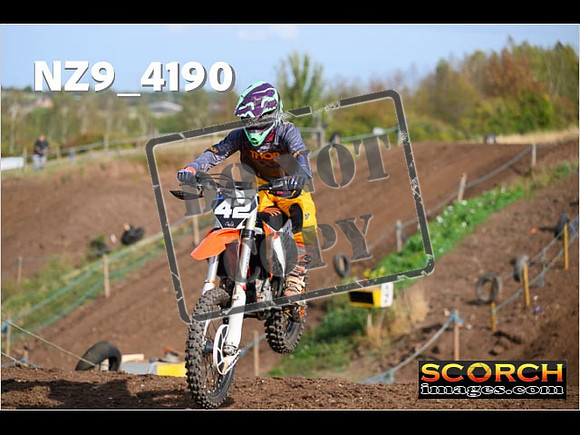 Inters-119