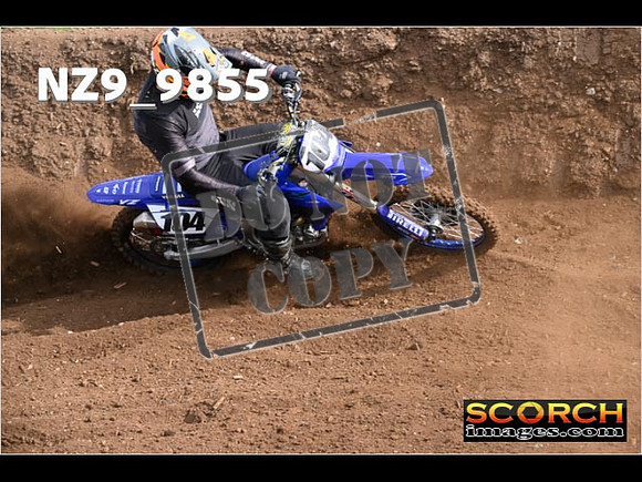 Experts-017