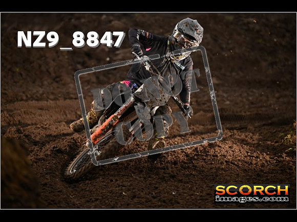 Experts-137