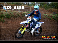 Experts-012