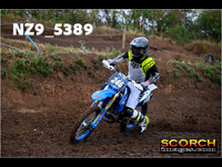 Experts-013