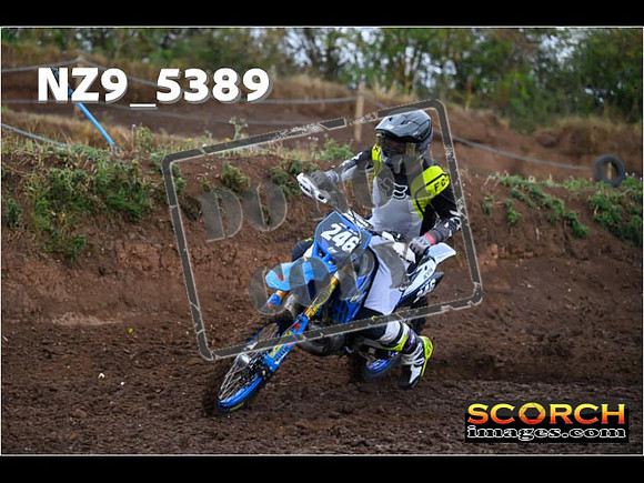 Experts-013