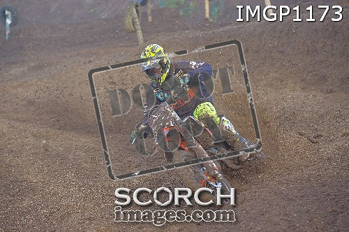 IMGP1173