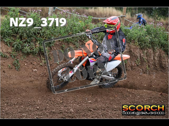 IntersGreenOrange-084