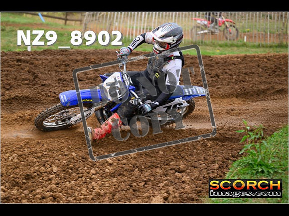 Experts-121
