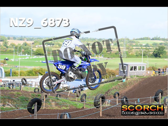 Experts-051
