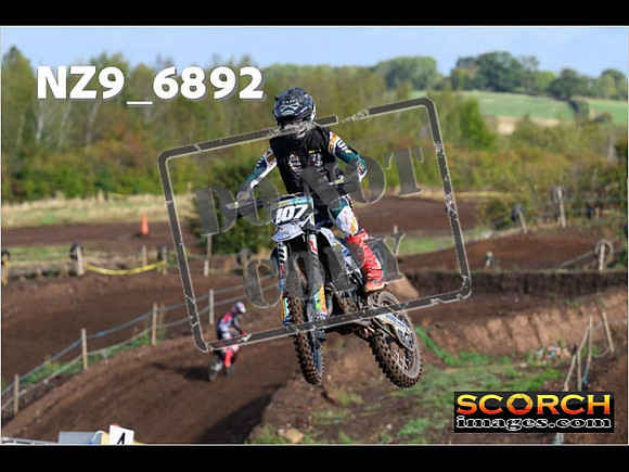 Experts-068