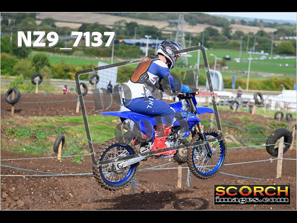 InterBlue-131
