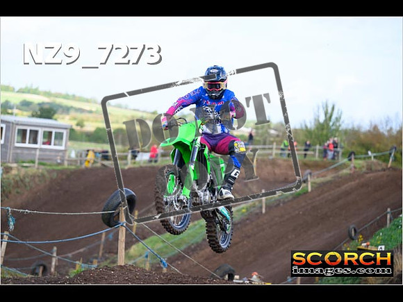 InterGreen-053