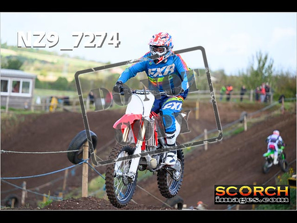 InterGreen-054