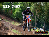 InterOrange-006