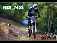 InterOrange-007