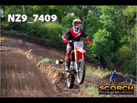 InterOrange-008