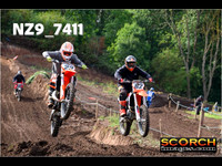 InterOrange-010