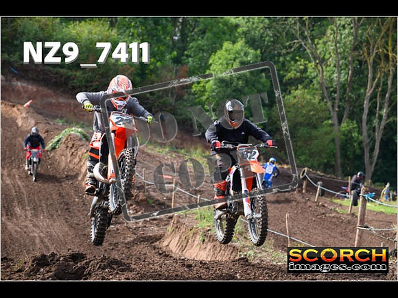 InterOrange-010
