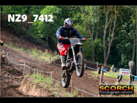 InterOrange-011