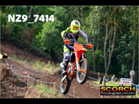 InterOrange-013