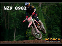 Experts-018