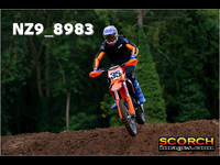 Experts-019