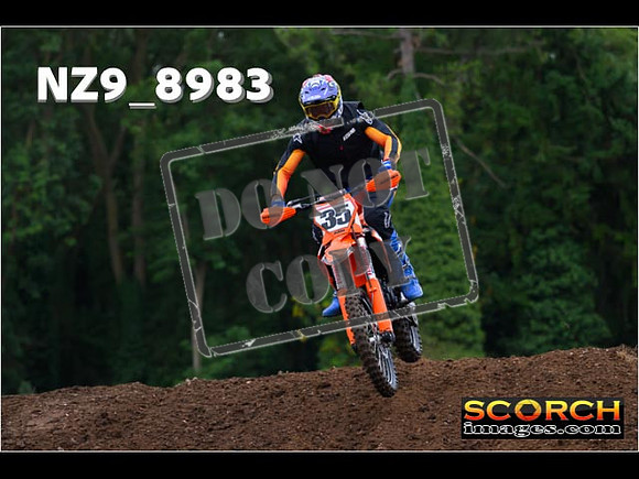 Experts-019