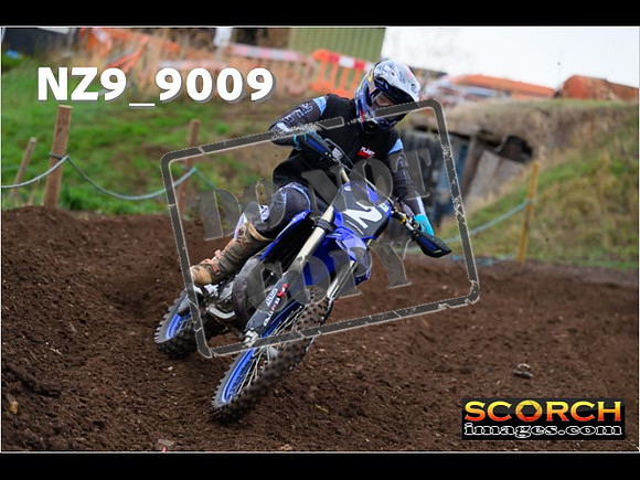 Experts-045