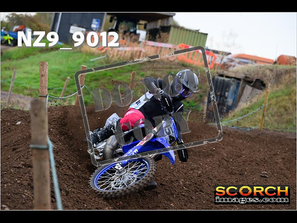 Experts-048