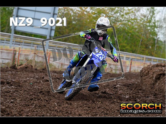 Experts-056