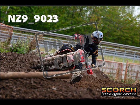 Experts-058