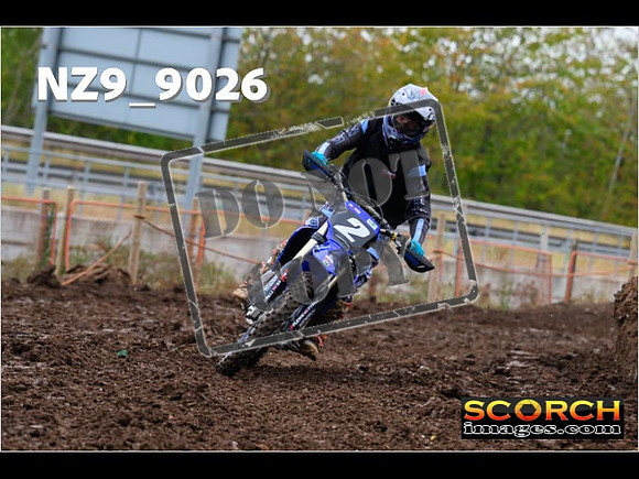 Experts-061