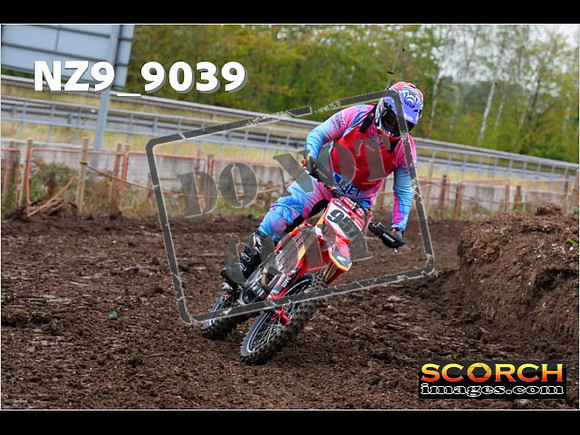 Experts-074