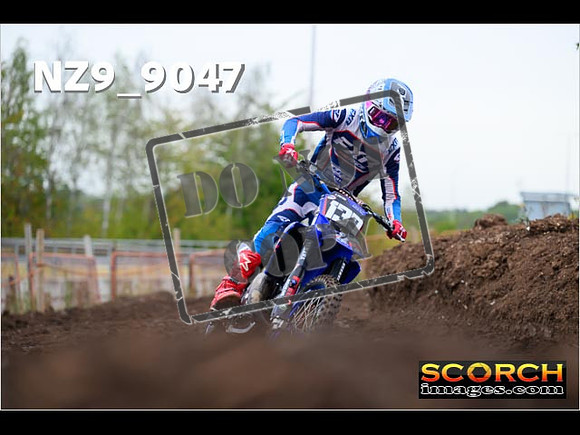 Experts-081