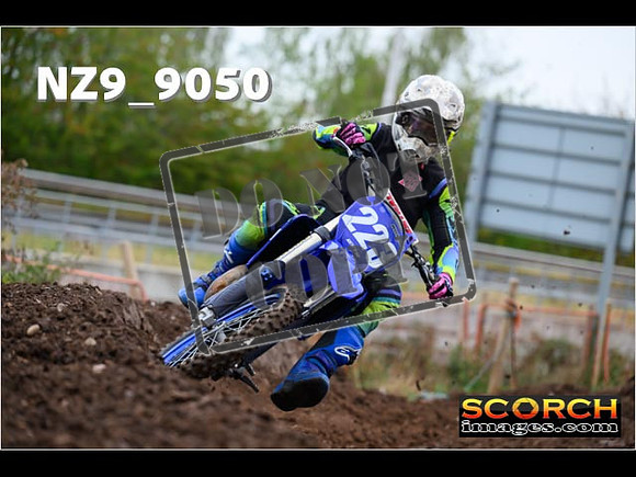 Experts-084