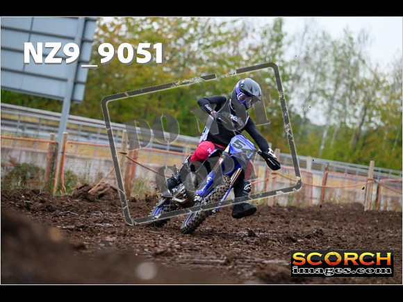 Experts-085