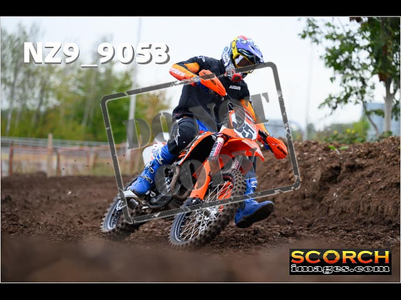 Experts-087