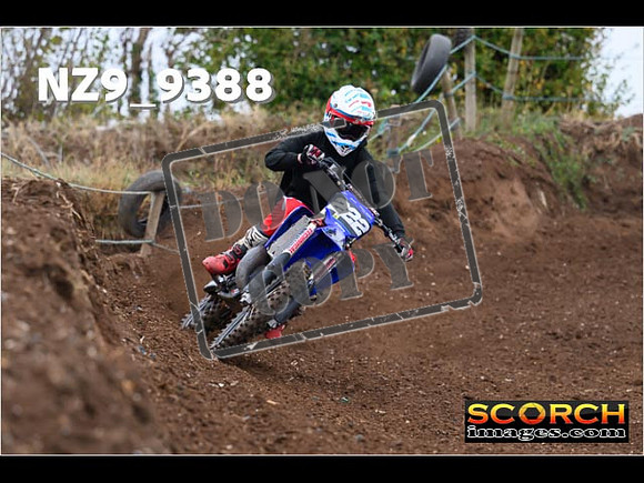 Experts-096