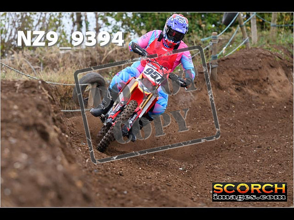 Experts-102
