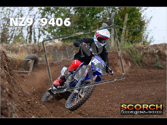 Experts-113