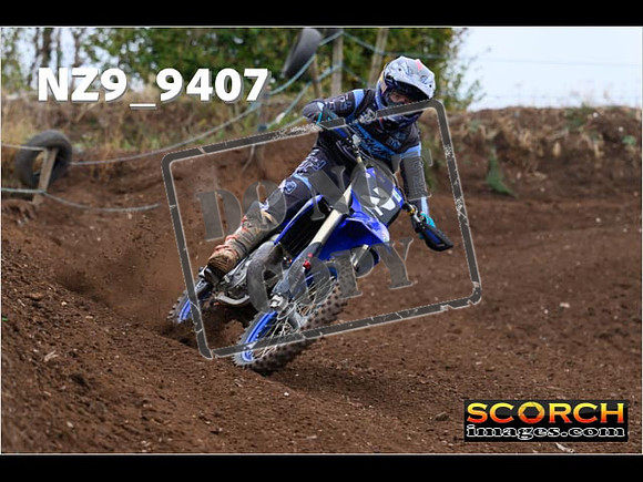 Experts-114