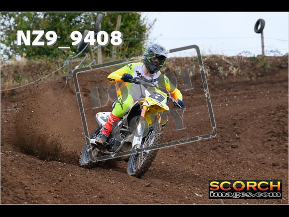 Experts-115