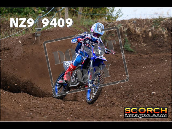 Experts-116