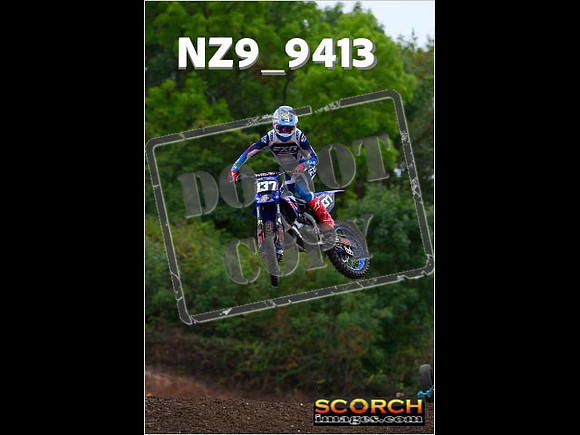 Experts-119