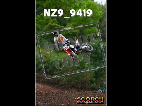 Experts-124