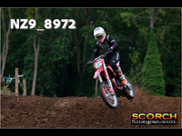 Experts-008